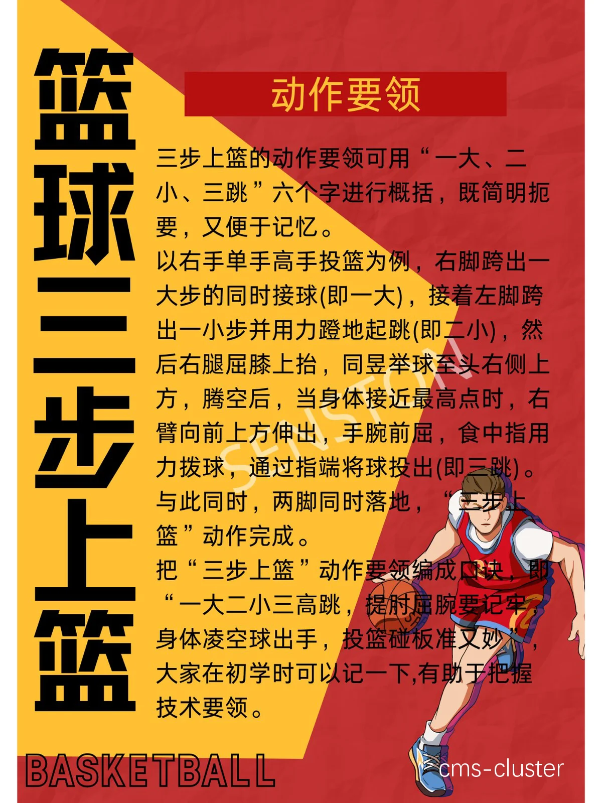 篮球运动训练方法有哪几种图片