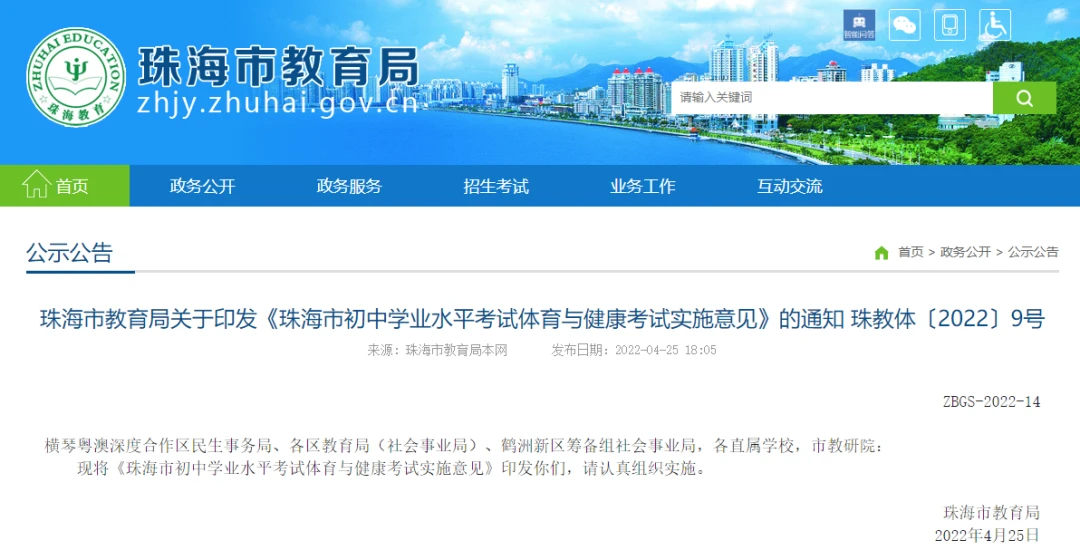 绳梯训练篮球_2